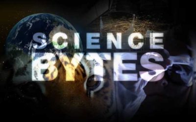 First five Science Bytes pilot episodes completed