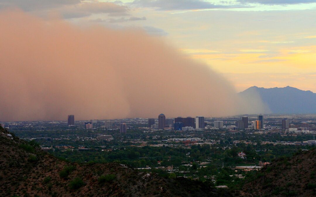 Dust Rising